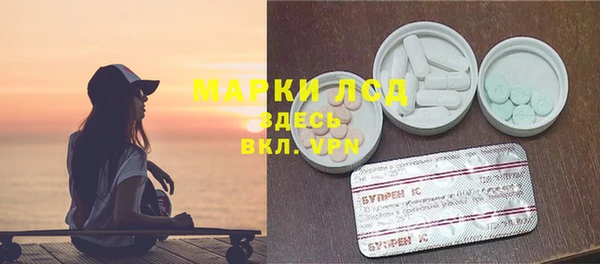 прущие грибы Волоколамск