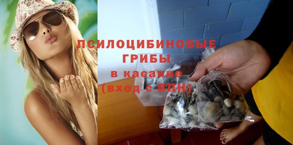 хмурый Волосово