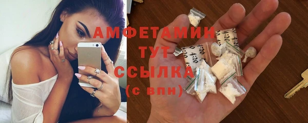 прущие грибы Волоколамск