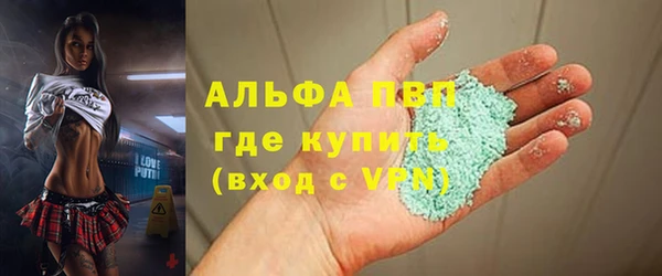 прущие грибы Волоколамск