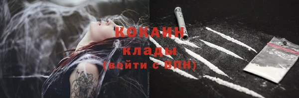 хмурый Волосово