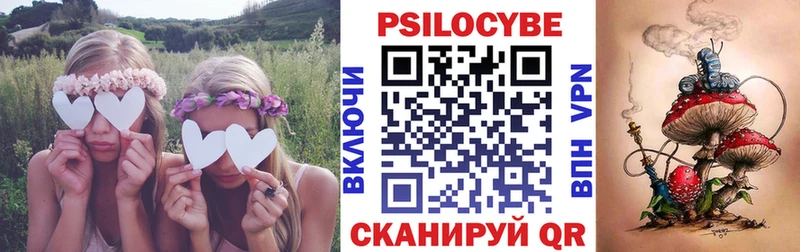 наркота  Искитим  Псилоцибиновые грибы Psilocybine cubensis 